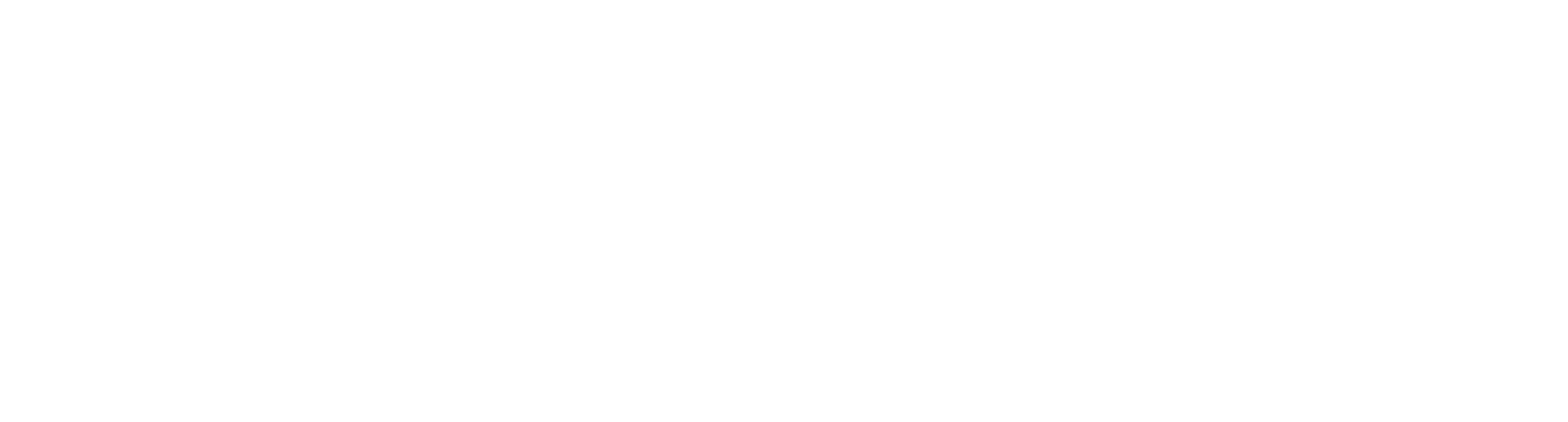Partner 13