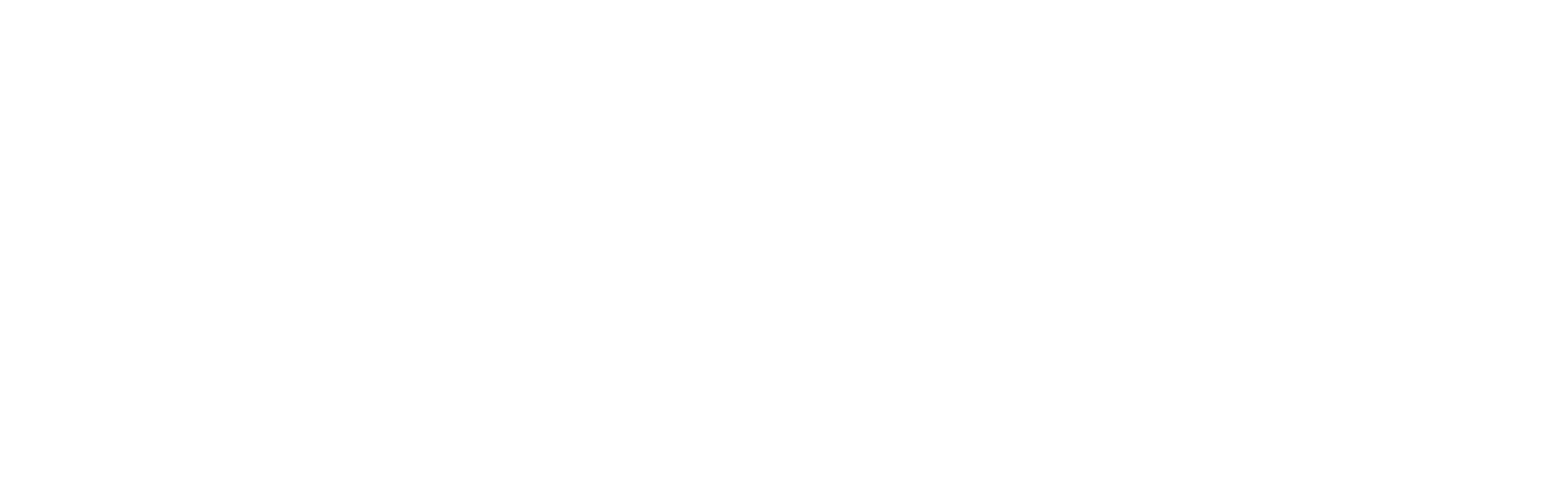 Partner 17