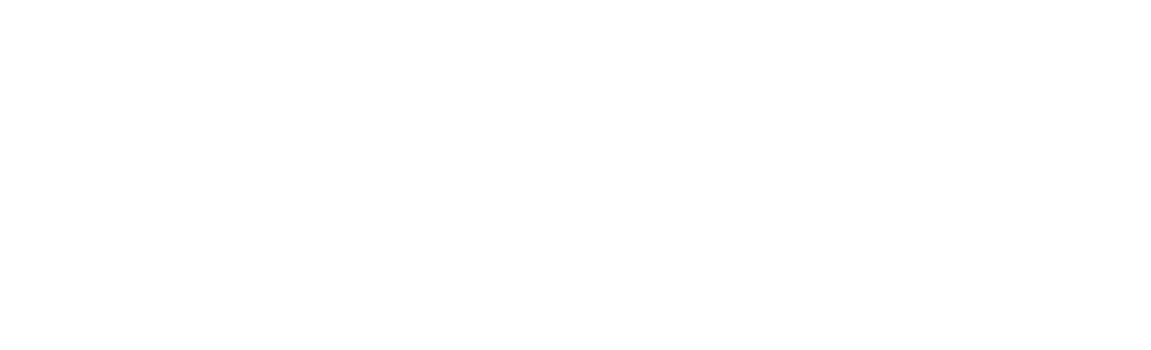 Partner 3