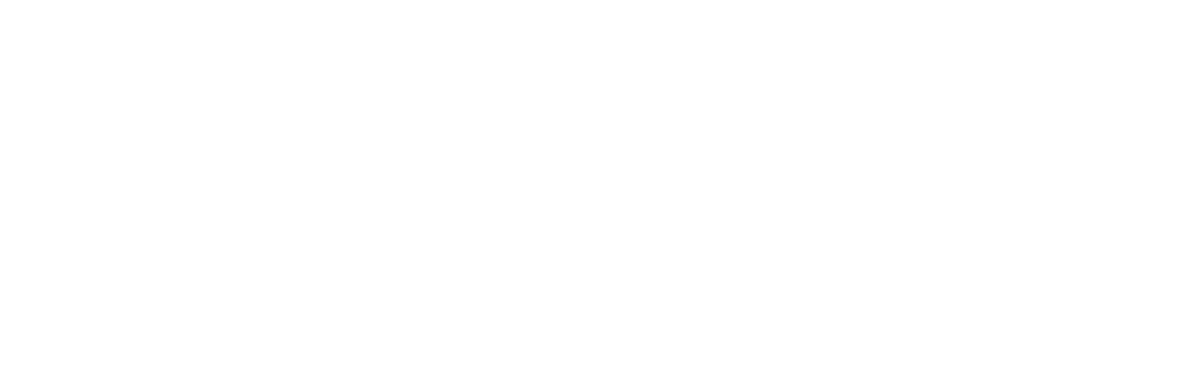 Partner 4
