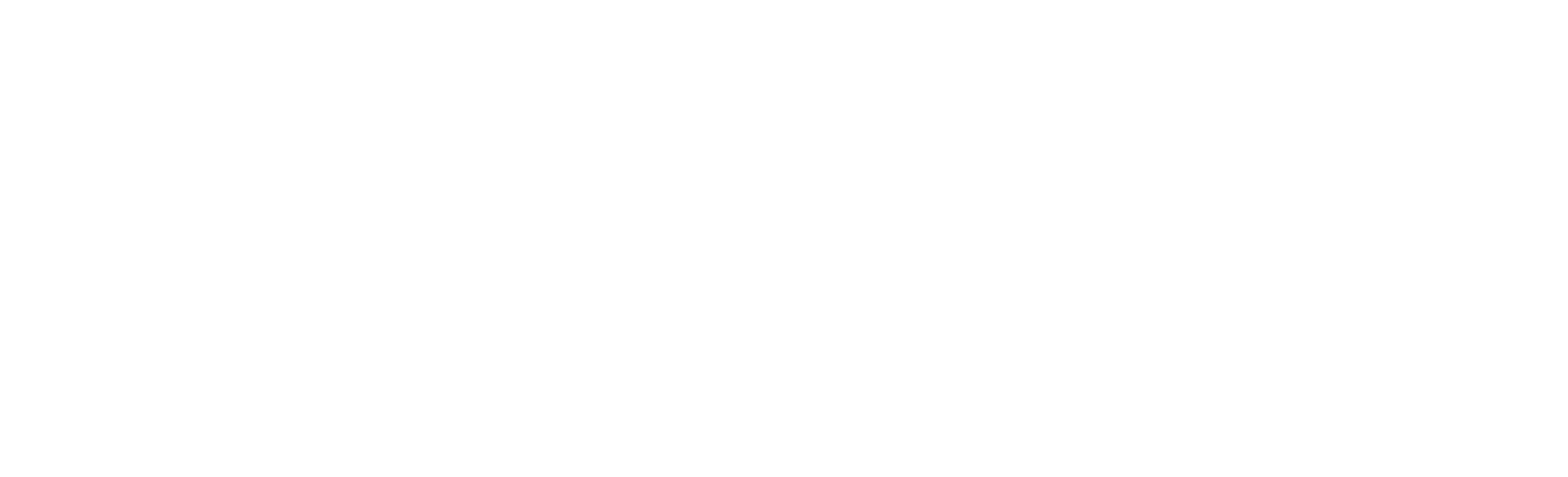Partner 7