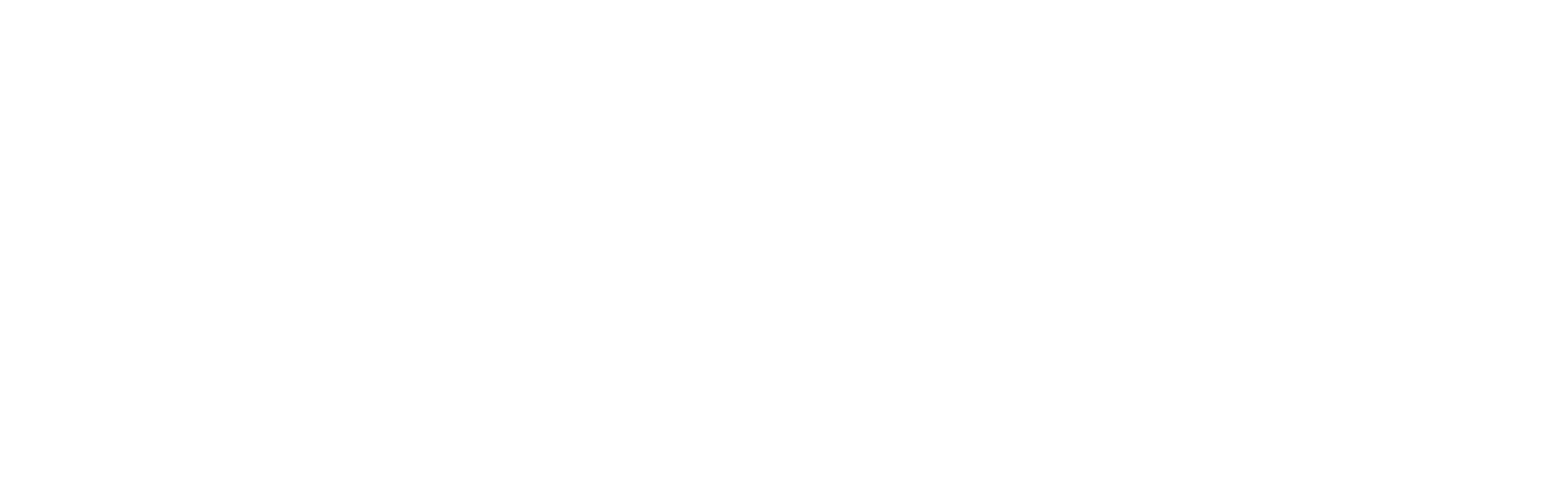 Partner 9